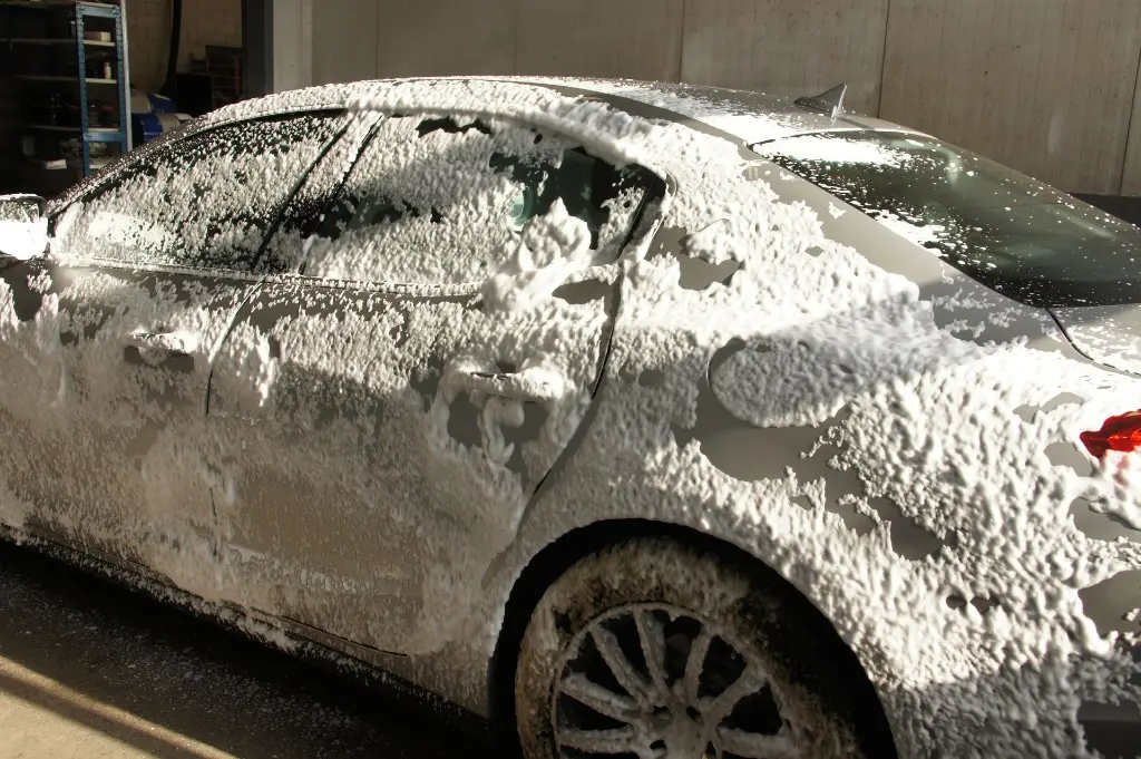 D18 Snow Foam 006.webp