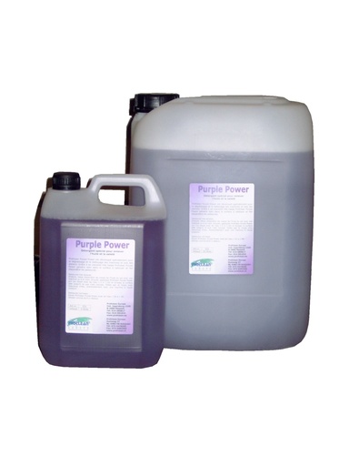 [522] Purple power 20l